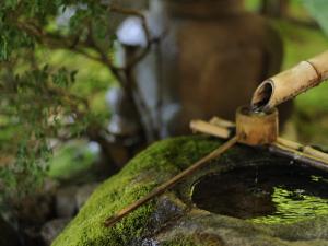 ryokan thumbnail